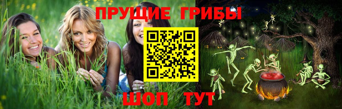 Галлюциногенные грибы Psilocybine cubensis  Псилоцибиновые грибы Magic Shrooms  Кунгур  Вход с VPN 
