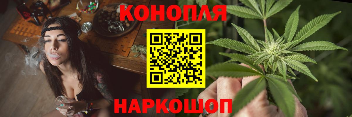 Бошки марихуана OG Kush Кунгур